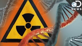 How Radiation Changes Your DNA [upl. by Godber]