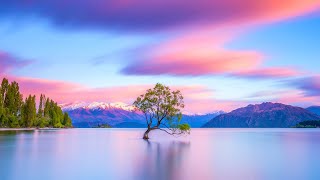 Relaxing Music for Stress Relief  Soothing Music for Meditation  Healing Therapy  Sleep  Spa [upl. by Wendin]