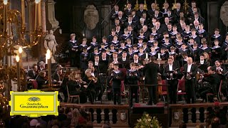 Wiener Sängerknaben Chorus Viennensis – Mozart Mass in C Major K317 Coronation Mass II Gloria [upl. by Thorvald]