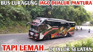 Bus Luragung Jago Di Jalur Pantura Lemah Di Jalur Selatan [upl. by Jessica]