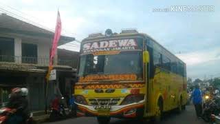 Bus Luragung jaya group [upl. by Atteuqram896]