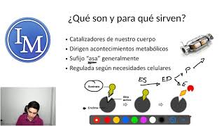 Bioquímica  Enzimas  Catalizadores Enzimáticos [upl. by Kunkle]