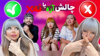 چالش آره یا نه ✅❌Yes Or No Challenge✅❌Nika falahi  نیکافلاحی [upl. by Ahsrop]