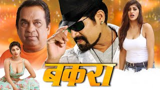 बकरा  Latest South Indian Comedy Movie Dubbed In Hindi  Srihari Yashika Brahmanandam [upl. by Cesya]