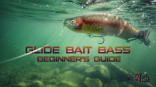 Glide Bait Fishing Bass A Beginners Guide [upl. by Hnamik]