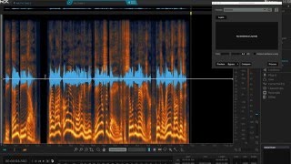 RX Audio Repair Master Class  iZotope RX 5 Audio Editor Tips amp Tricks [upl. by Ekihc522]