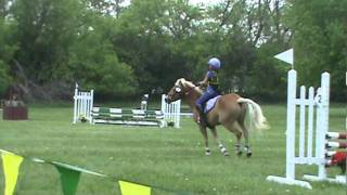 My worst fall ever Horse Bucking and Bolting [upl. by Breeze169]