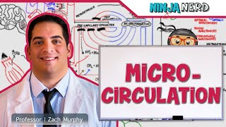 Cardiovascular  Microcirculation [upl. by Alesiram473]