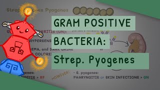 Gram Positive Bacteria Streptococcus Pyogenes [upl. by Aronson]