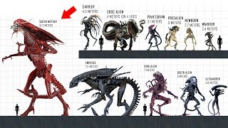 XENOMORPH Size Comparison [upl. by Isaacson]