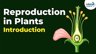 Introduction to Reproduction in Plants  Dont Memorise [upl. by Caplan]