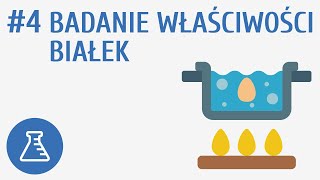 Badanie właściwości białek 4  Biologiczne związki organiczne [upl. by Ellirpa]