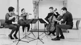 Philip Glass  String Quartet No 3 quotMishimaquot  VI [upl. by Janus478]