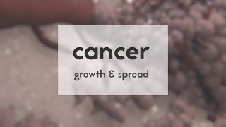 Cancer growth amp spread [upl. by Bent]