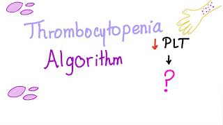 Thrombocytopenia Low Platelet Count  Evaluation Algorithm [upl. by Carlstrom697]