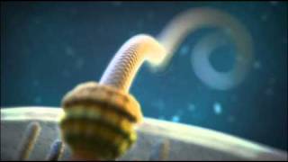 Irreducible Complexity The Bacterial Flagellum [upl. by Airyt]