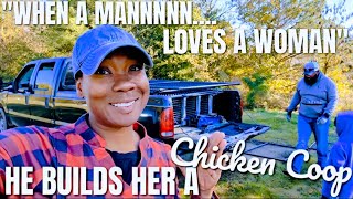 A Man Aint Got No Business Not Building His Wife A Chicken Coop  ESTABLISHING OUR HOMEstead [upl. by Daley951]