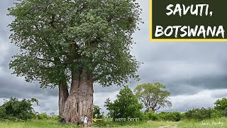 Wet Season Safaris  Self Drive 4x4 Botswana  Chobe4x4  Ep 2 [upl. by Akerboom]