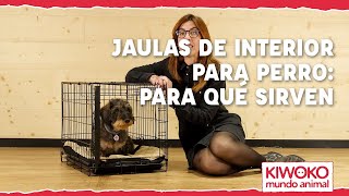 JAULAS de interior para PERROS 🐶 【¡Entrenamiento POSITVO ✅】 [upl. by Naiva]