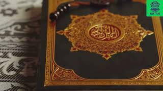 Miracles of Holy Quran [upl. by Asiram]