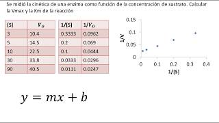 Cinética Enzimática  Diagrama de LineweaverBurk  Ejemplo [upl. by Otreblif687]