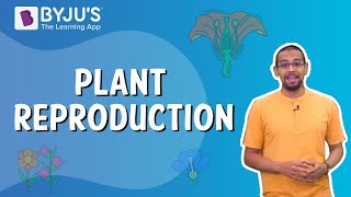 Plant Reproduction  Class 5 I Learn with BYJUS [upl. by Pegma]