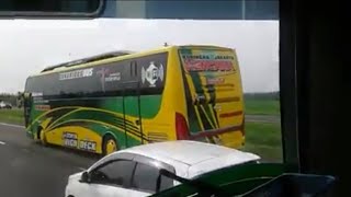 NgeBLong Balapan Sesama Bus Luragung Jaya [upl. by Valerle]