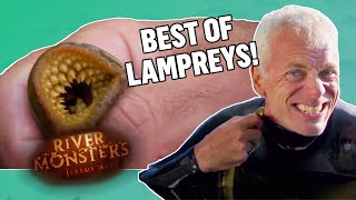 The BEST OF LAMPREYS  COMPILATION  River Monsters [upl. by Englebert]