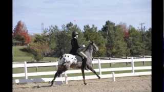 DressageBolting Bucking HD [upl. by Fay]