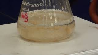 Synthesis of Acetanilide [upl. by Novoj]