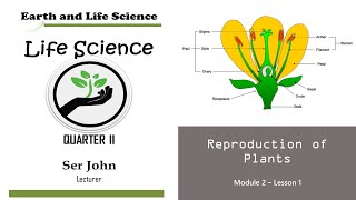 Reproduction of Plants [upl. by Figge]