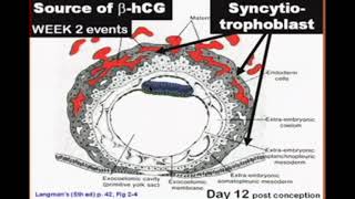 What is Hematology [upl. by Amluz]