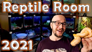 The NEW Reptile Room Tour 2021  Over 75 Reptiles and Their Enclosures [upl. by Moina]