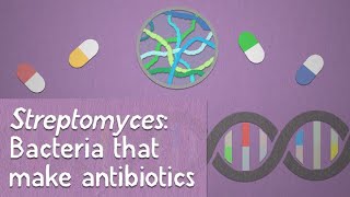 Streptomyces Bacteria that make antibiotics [upl. by Naujahs]