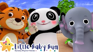 Eeny Meeny Miny Moe—HELLO  Little Baby Bum Animal Club  Fun Songs for Kids [upl. by Davidoff]