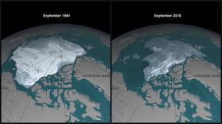 Disappearing Arctic sea ice [upl. by Adriano379]