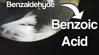 Synthesis of Benzoic acid from Benzaldehyde [upl. by Gerome392]