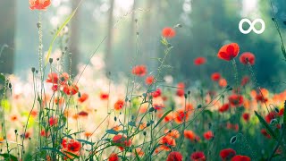 Morning Relaxing Music  Piano Music for Stress Relief and Studying Riley [upl. by Tterrab]