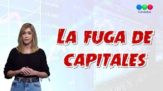 ¿QUÉ ES LA FUGA DE CAPITALES  Telefe Noticias [upl. by Enirol]