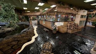 The Reptile Zoo 360° Tour [upl. by Minne195]