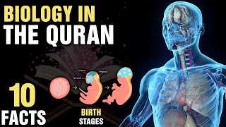 10 Surprising Biological Miracles In The Quran [upl. by Tengdin]