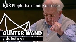 Günter Wand probt Beethoven 1994  NDR Elbphilharmonie Orchester [upl. by Rora]