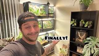 Reptile Room  Full Tour [upl. by Nileuqcaj]