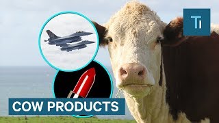 Did You Know These Products Are Made From Cows [upl. by Airliah]