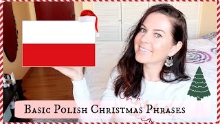 BASIC POLISH CHRISTMAS PHRASES  LITTLE BIT OF POLISH TRADITION 🇵🇱 [upl. by Alimhaj]