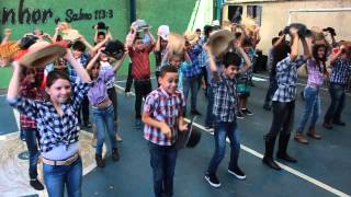 Apresentação de Dança 4º ano B  Festa Junina Escola Conceição Ribeiro 2015 [upl. by Amesari]