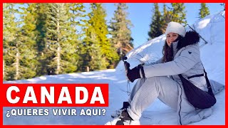 La Realidad de VIVIR en CANADÁ en 2025 🇨🇦 [upl. by Wald]