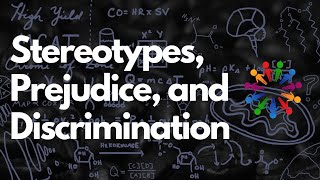 Whats the Difference Between Stereotypes Prejudice and Discrimination  MCAT [upl. by Neri]