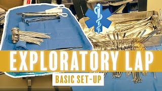 LAPAROSCOPIC RADICAL NEPHRECTOMY PROCEDURE OVERVIEW [upl. by Lipman]