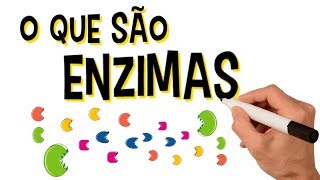 ✅ O QUE SÃO ENZIMAS [upl. by Ithsav]